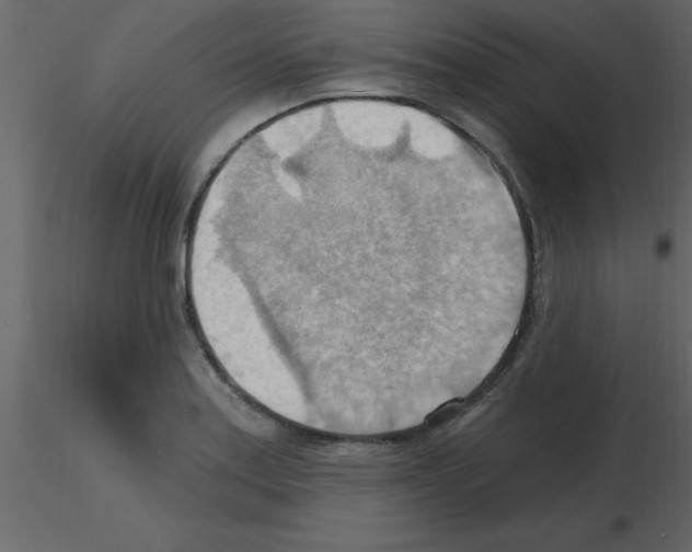 X0000115791179200912241825