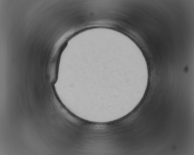 X0000115791180200912241825