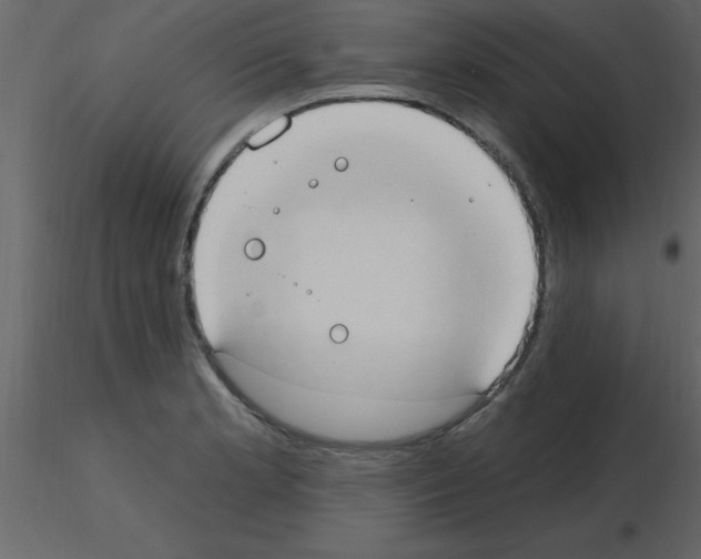 X0000115791181200912241825
