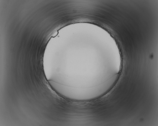 X0000115791185200912241825