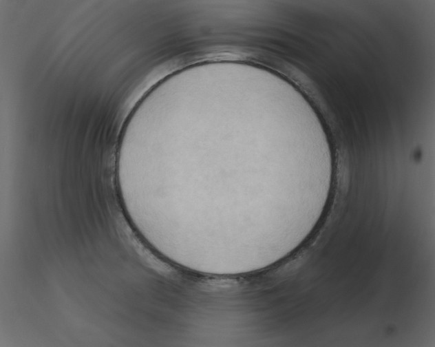 X0000115791186200912241825