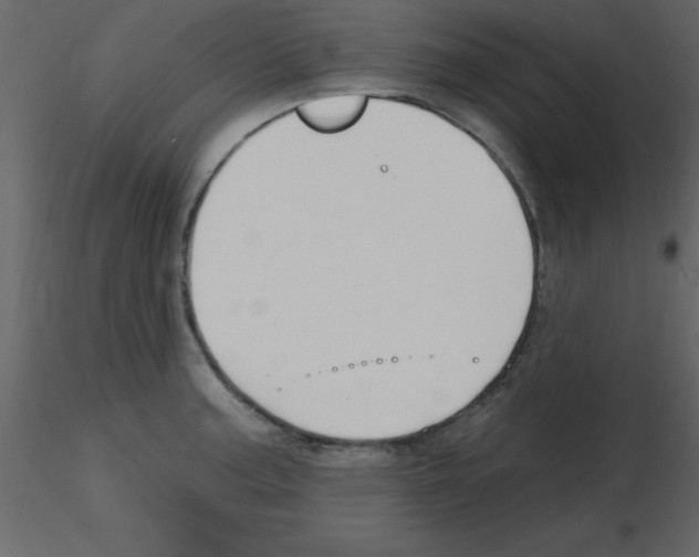 X0000115791187200912241825