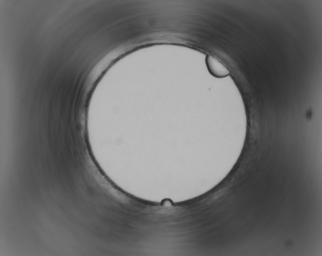 X0000115791188200912241825