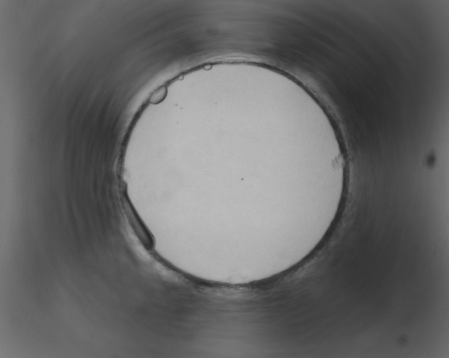 X0000115791189200912241825
