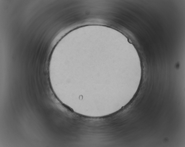 X0000115791192200912241825