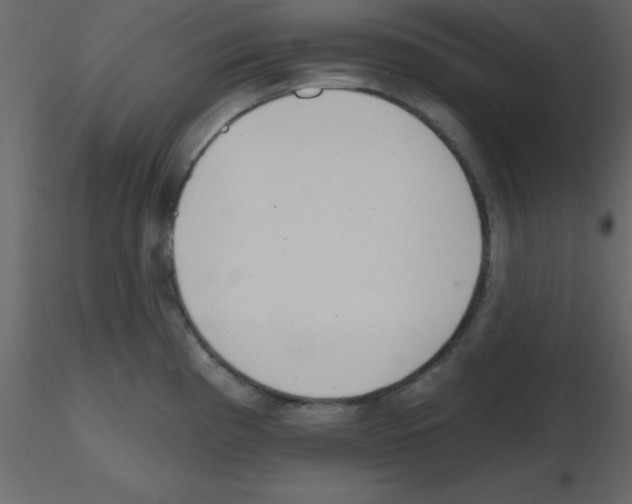 X0000115791193200912241825