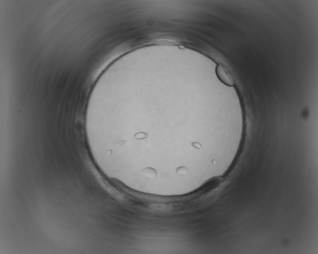 X0000115791194200912241825