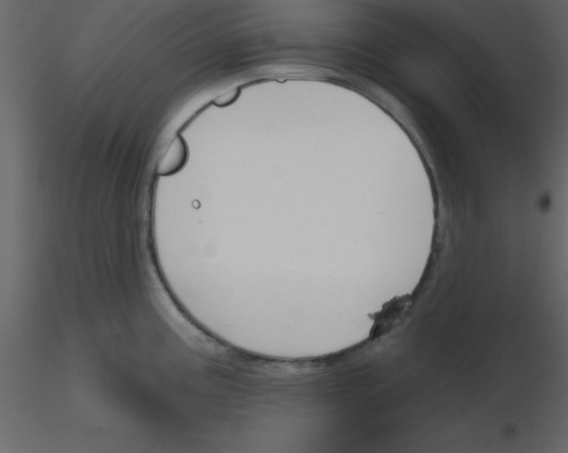 X0000115791195200912241825