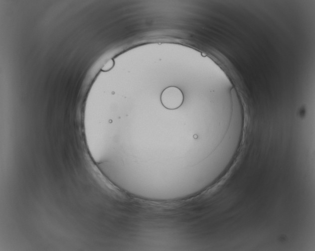 X0000115791196200912241825