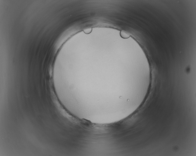 X0000115791198200912241825