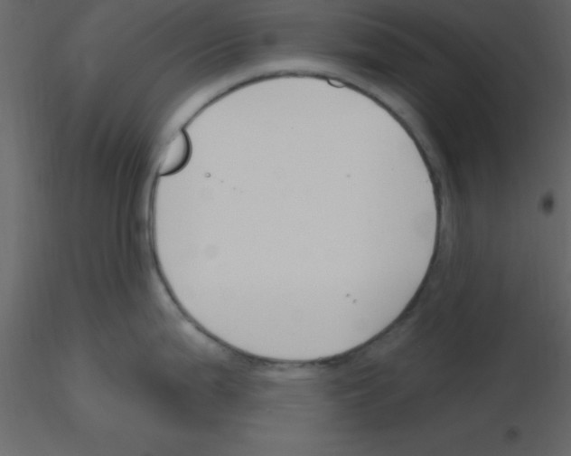 X0000115791199200912241825