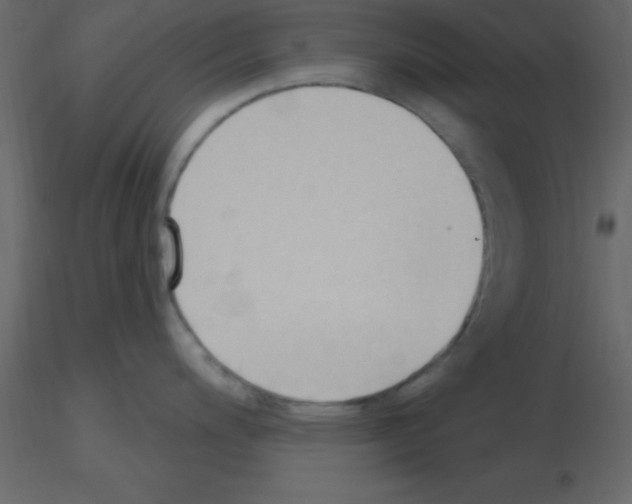 X0000115791200200912241825