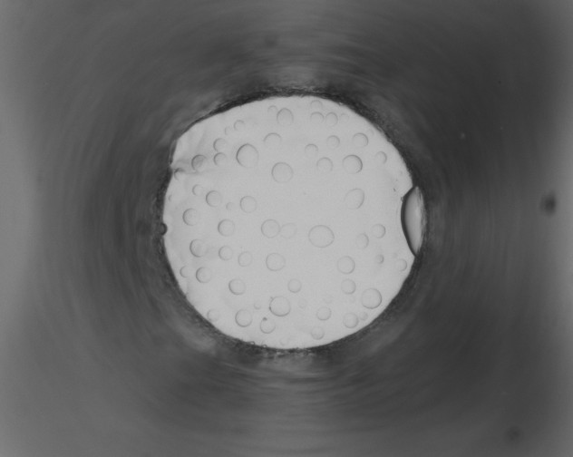 X0000115791201200912241824