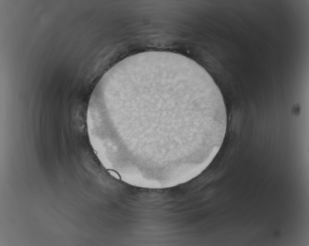 X0000115791202200912241824