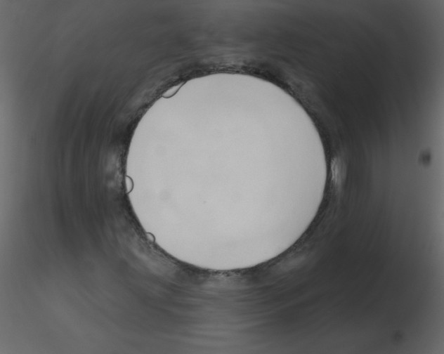 X0000115791203200912241824