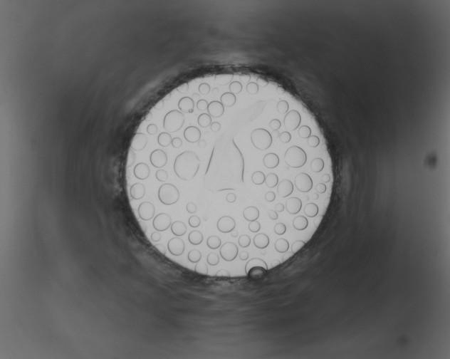 X0000115791205200912241824