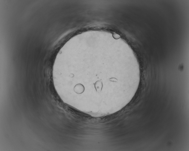 X0000115791206200912241824