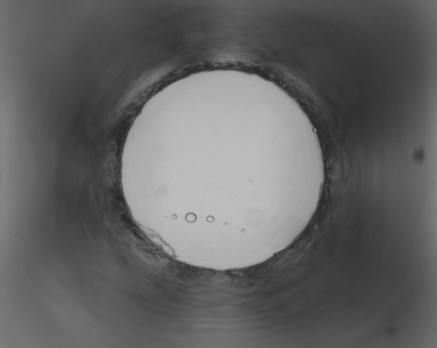 X0000115791207200912241824