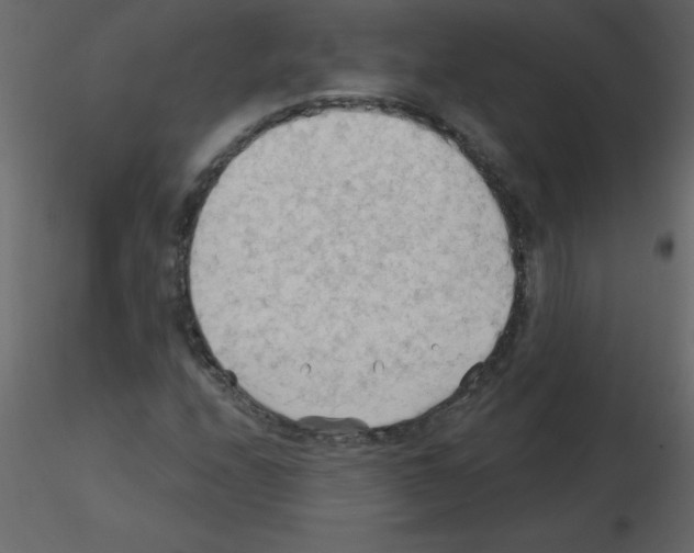 X0000115791208200912241824