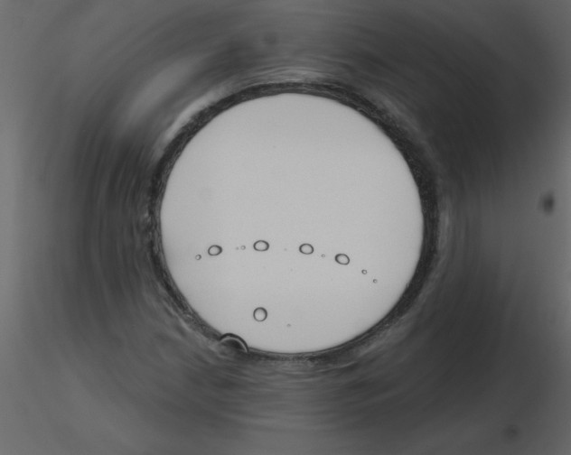 X0000115791210200912241824