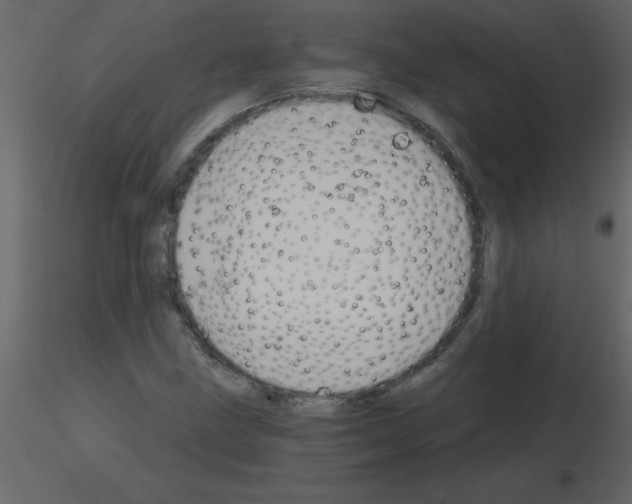 X0000115791211200912241824