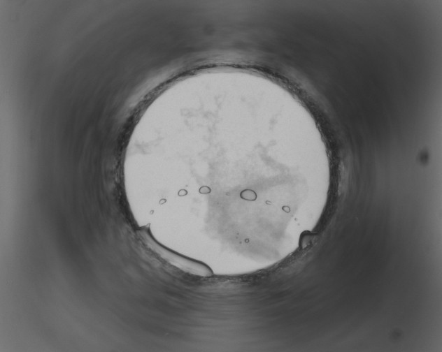 X0000115791213200912241824
