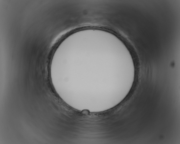 X0000115791214200912241824