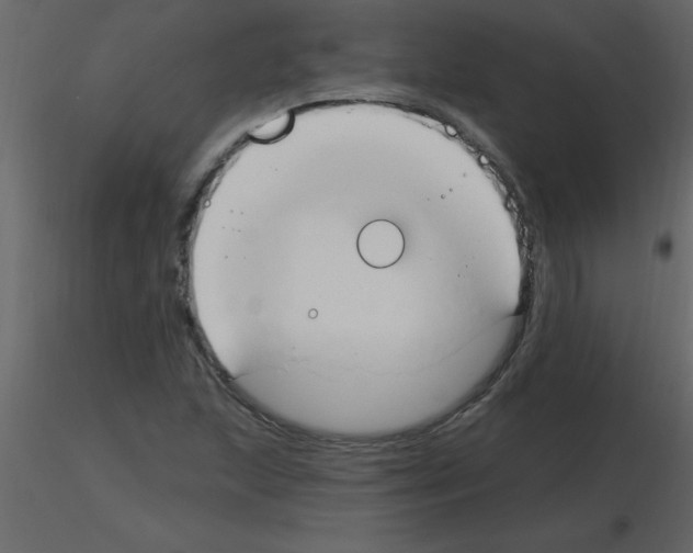 X0000115791215200912241824