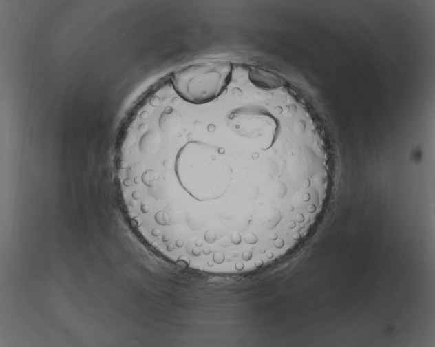 X0000115791216200912241824