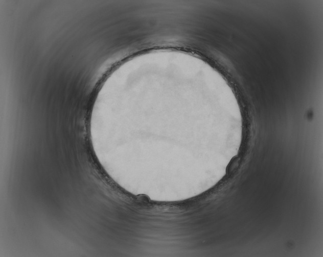 X0000115791218200912241824