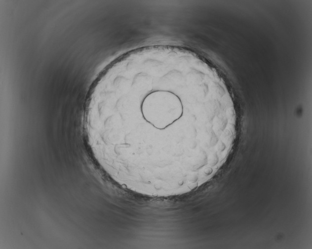 X0000115791220200912241824
