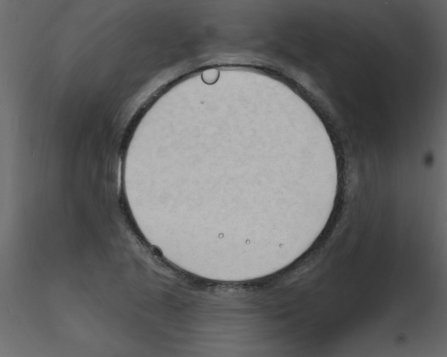 X0000115791221200912241824