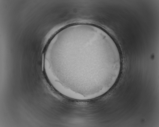 X0000115791223200912241825
