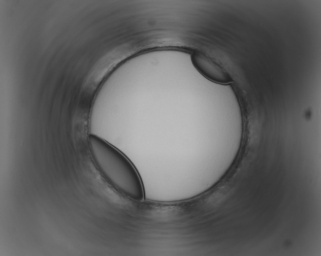 X0000115791225200912241825