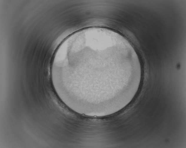 X0000115791226200912241825