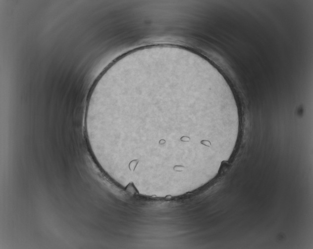 X0000115791228200912241825