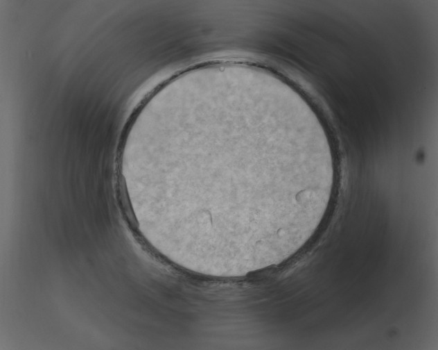 X0000115791229200912241825