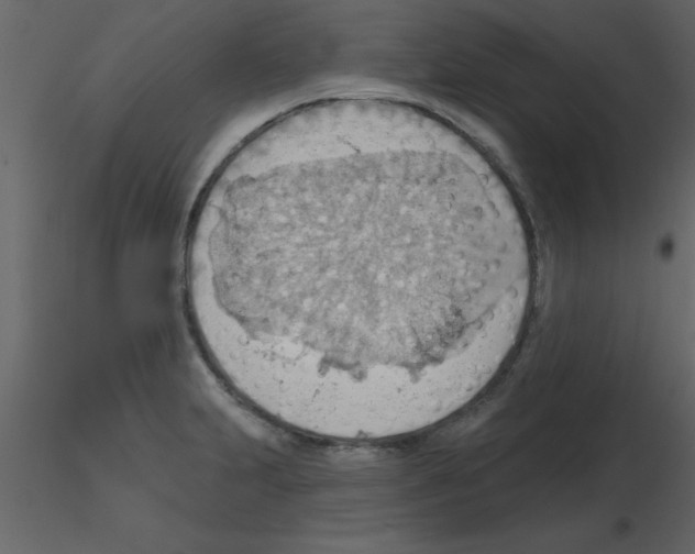 X0000115791231200912241825