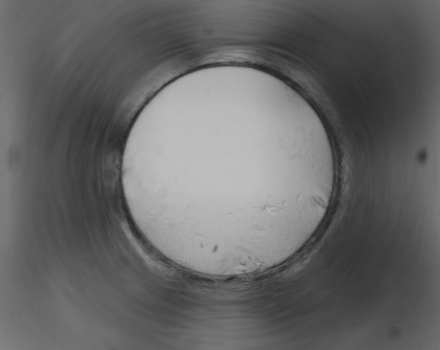 X0000115791233200912241825