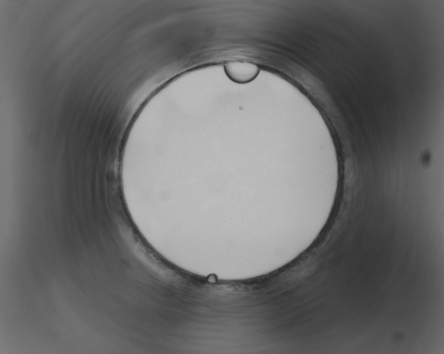 X0000115791234200912241825