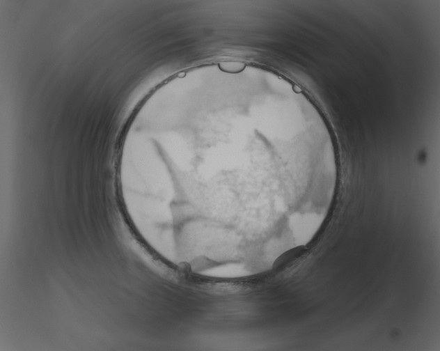X0000115791235200912241825
