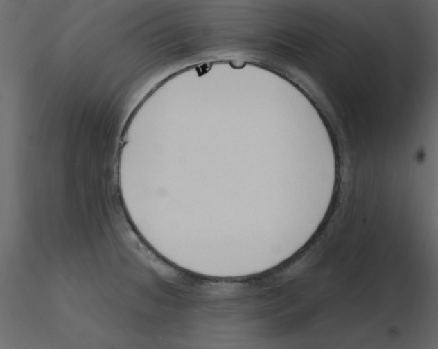 X0000115791236200912241825