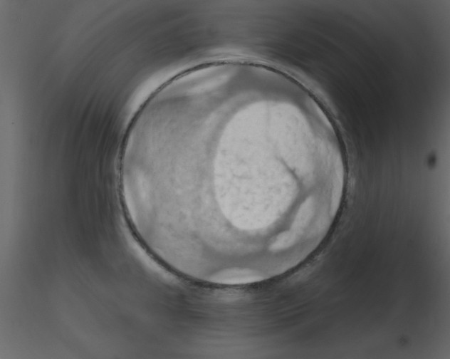 X0000115791239200912241825