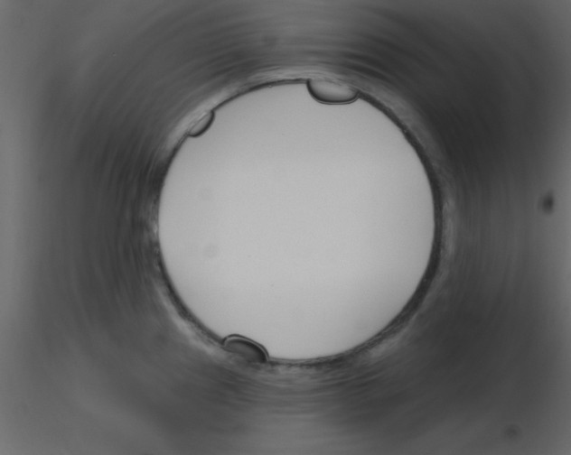 X0000115791241200912241825
