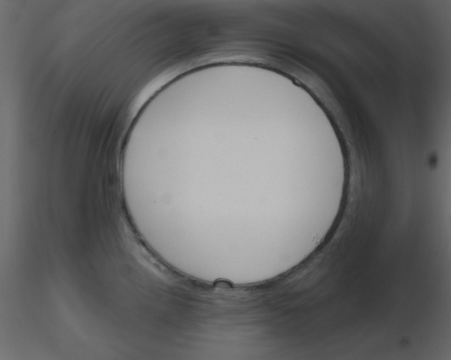 X0000115791242200912241825
