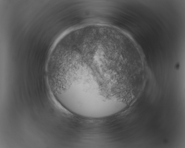 X0000115791243200912241825