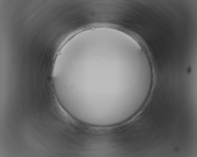 X0000115791244200912241825