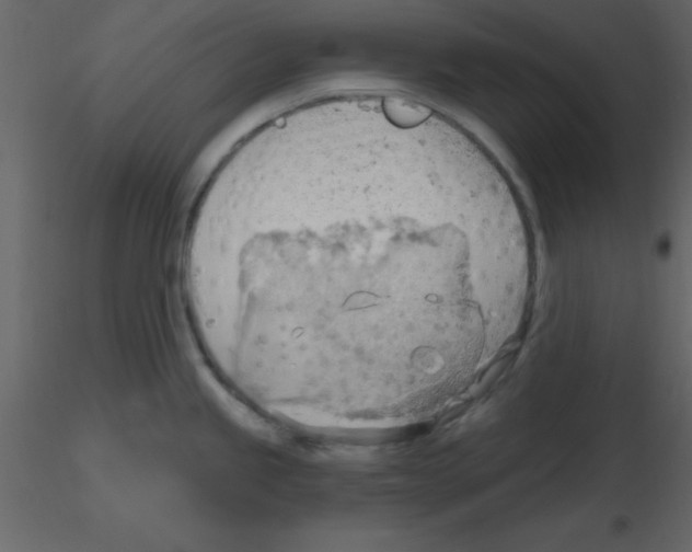 X0000115791245200912241825