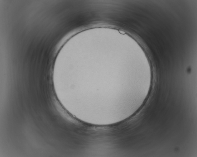 X0000115791246200912241825