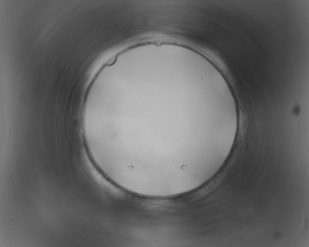 X0000115791247200912241825
